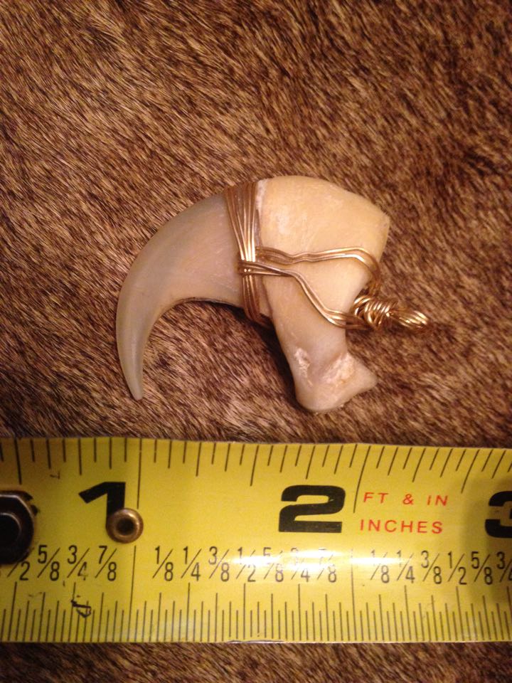 WireWrapped African Lion Claw Bones to Pick