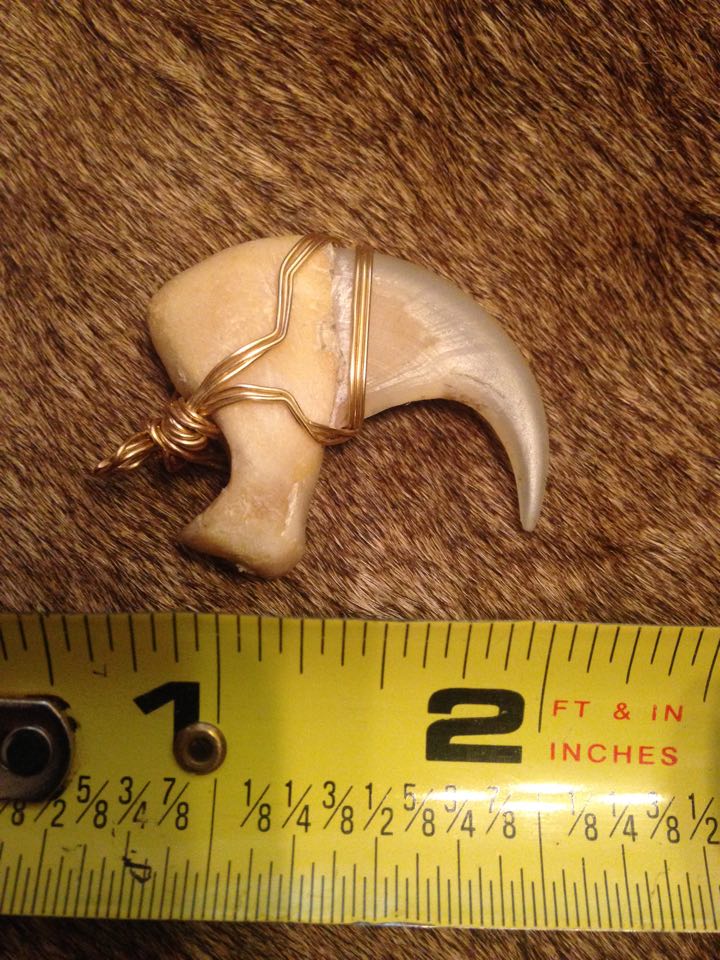 WireWrapped African Lion Claw Bones to Pick
